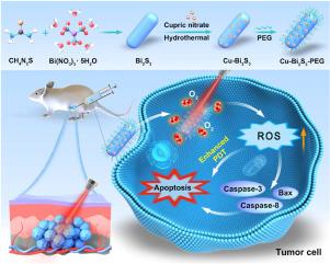 Cu-Bi2S3 nanorods promote reactive oxygen species production for photodynamic therapy of prostate cancer