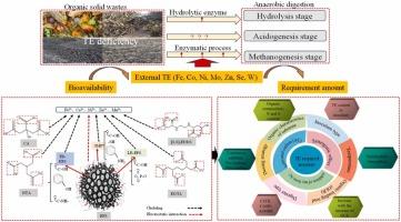 A comprehensive review of the impact of trace elements on anaerobic digestion for organic solid wastes