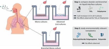 Assessing toxicity of amorphous nanoplastics in airway- and lung epithelial cells using air-liquid interface models