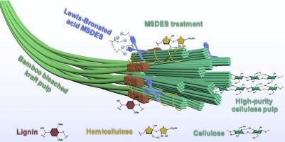 A deep eutectic solvent with bifunctional acid sites treatment to upgrade a bamboo kraft pulp into a cellulose-acetate grade dissolving pulp