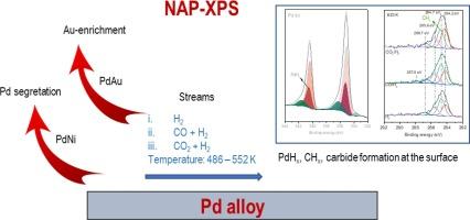 Surface properties of PdAu and PdNi alloys under dynamic conditions: NAP-XPS study