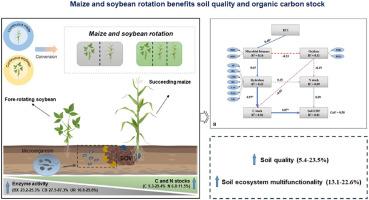 Maize and soybean rotation benefits soil quality and organic carbon stock