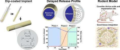 Degradation and in vivo evaluation of an innovative delayed release implant of medical grade poly(glycolide-co-trimethylene carbonate-co-ε-caprolactone)