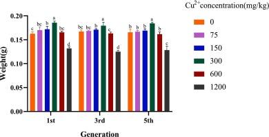 Antioxidant response fail to rescue growth of Hermetia illucens L. larvae induced by copper accumulated during long-term exposure