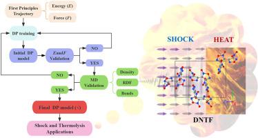 Thermal decomposition and shock response mechanism of DNTF: Deep potential molecular dynamics simulations