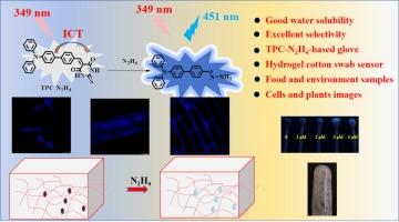 Engineering a fluorescent probe for the visual and wearable detection of N2H4 in foods, environment samples and biological imaging