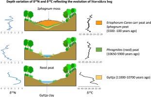 Holocene Stable Isotope (δ13C and δ15N) record of peatland development in Stavsåkra, southern Sweden