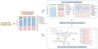 Enhancement of volatile fatty acids to extremely high content in fermentation of food waste: Optimization of conditions, microbial functional genes, and mechanisms