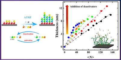 Influence of activation/deactivation process on surface-initiated atom transfer radical polymerization: An in silico investigation