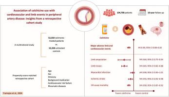 Association of colchicine use with cardiovascular and limb events in peripheral artery disease: Insights from a retrospective cohort study