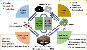 Key factors influencing the spatial distribution of soil organic carbon and its fractions in Mollisols