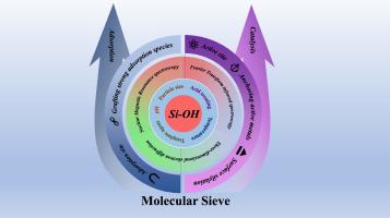 Emerging molecular sieve regulation strategy for the adsorption and catalysis: Silicon hydroxyl engineering