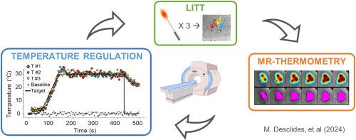 Automatic volumetric temperature regulation during in vivo MRI-guided laser-induced thermotherapy (MRg-LITT) with multiple laser probes