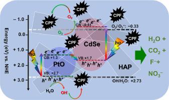 Decoration of mesoporous hydroxyapatite nanorods by CdSe and PtO nanoparticles for enhanced photocatalytic oxidation of antibiotic pollutant in water