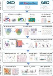 Integrating multi-omics data reveals neuroblastoma subtypes in the tumor microenvironment