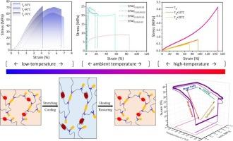 Rubber-assisted and modulated epoxy topological network for developing fatigue-resistant, high-strain-cycle high performance shape memory polymer composites