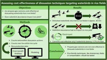 Assessing cost-effectiveness of dissuasion techniques targeting waterbirds in rice fields