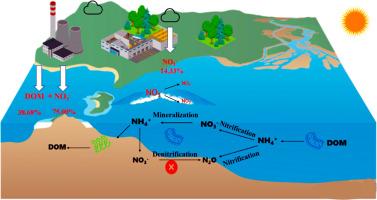 Exploration of nitrogen sources and transformation processes in eutrophic estuarine zones based on DOM and stable isotope compositions