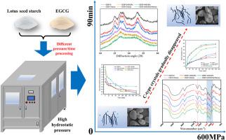 High hydrostatic pressure technology promotes the formation of lotus seed starch and epigallocatechin gallate complex: An evaluation of structure and digestive characteristics