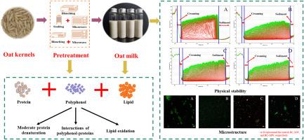 A comparative study on stability and flavor of additive-free oat milk obtained by different heat pretreatments (blanching and microwave) of oat kernels