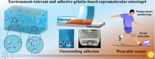 Environment-tolerant, inherently conductive and self-adhesive gelatin-based supramolecular eutectogel for flexible sensor