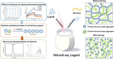 Stabilizing effect of Leuconostoc mesenteroides Lm10 produced dextran in situ on stirred soy yogurt: Structure-function relationship