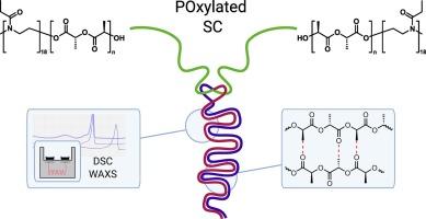 POxylated stereocomplexes from PEtOx-b-PLA diblock copolymers