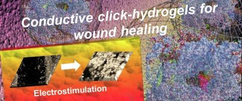 Electro-responsive hyaluronic acid-based click-hydrogels for wound healing