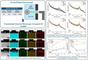 An in-situ Raman spectroscopy investigation of the oxidation of proton irradiated and cold-worked 304L stainless steel in oxygenated water at 300°C