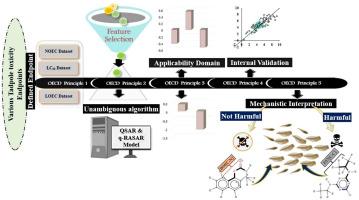 Elucidation of molecular mechanisms involved in tadpole toxicity employing QSTR and q-RASAR approach