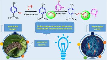 Synthesis, characterization, insecticidal activity and antibacterial evaluation of some heterocyclic compounds containing 1,2,3-triazoles moiety