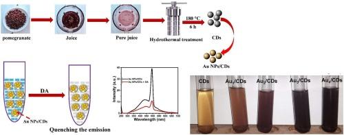 Design and green synthesis of carbon Dots/Gold nanoparticles Composites and their applications for neurotransmitters sensing based on emission Spectroscopy