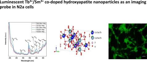 Luminescent Tb3+/Sm3+ co-doped hydroxyapatite nanoparticles as an imaging probe in N2a cells