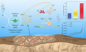 Structure-activity relationship between crystal plane and pyrite-driven autotrophic denitrification efficacy: Electron transfer and metagenome-based microbial mechanism