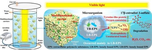 Photochemical behavior of extracellular polymeric substances in intimately coupled TiO2 photocatalysis and biodegradation system