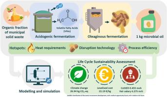 Life cycle sustainability assessment of microbial oil from organic waste