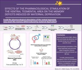 Effects of NMDA glutamatergic receptors pharmacological stimulation of the ventral tegmental area on the memory deficits induced by maternal deprivation