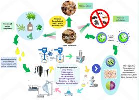 Microencapsulation and nanoencapsulation of fungicidal and insecticidal agents for grain packaging and storage