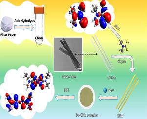 High-sensitivity detection of copper ions in water via cellulose nanomaterial nano-antennas and DFT studies