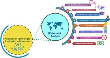 Biohydrogen production in bioreactors: Global trends, key factors, and emerging directions