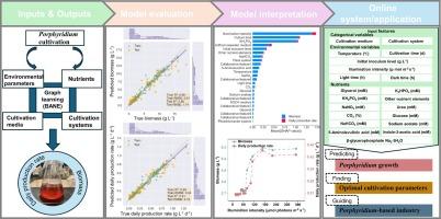 Graph-learning-based machine learning improves prediction and cultivation of commercial-grade marine microalgae Porphyridium