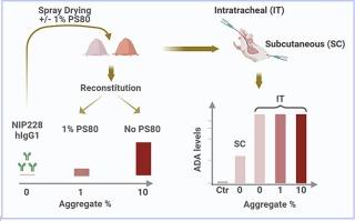 Impact of protein aggregation on the immunogenicity of a human monoclonal antibody following pulmonary administration in mice