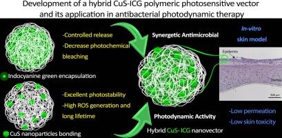 Development of a hybrid CuS-ICG polymeric photosensitive vector and its application in antibacterial photodynamic therapy