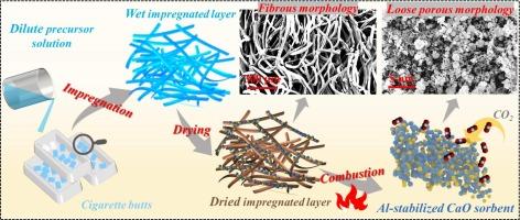 Inert stabilizer enhanced CaO sorbents for CO2 capture: Insights through impregnated layer solution combustion synthesis