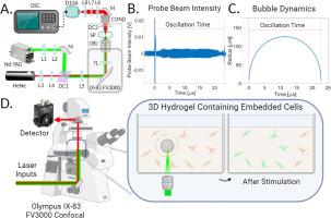 An optical system for cellular mechanostimulation in 3D hydrogels