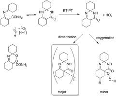 Reinvestigation of the mechanism of the enamine-mediated dioxygen activation