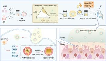 DES/O microemulsion for solubilizing and delivering curcumin via the nasal administration to treat acute asthma