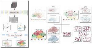 Interpretable MA-island clusters and fingerprints relating bainite microstructures to composition and processing temperature