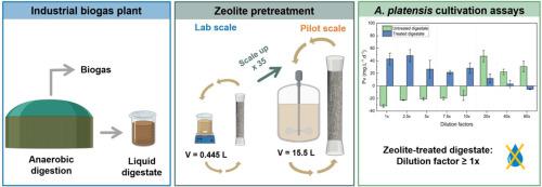 Treating liquid anaerobic digestate using natural zeolite and Arthrospira platensis cyanobacteria: From laboratory to pilot-scale