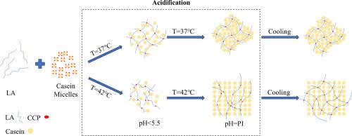 Formation and physical properties of skimmed milk/low-acyl gellan gum double gels: Influence of gelation sequence